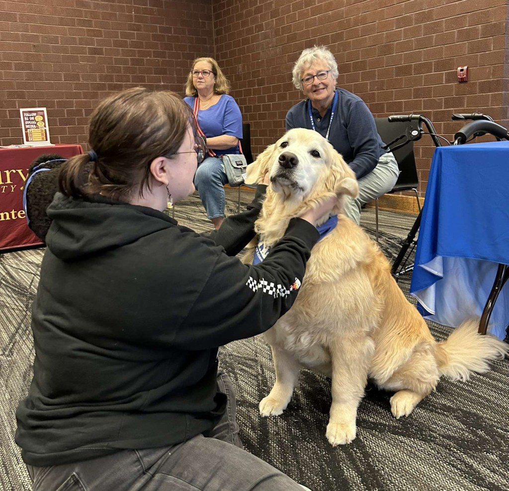 SU students mingle with dogs at Chalk-It Up&nbsp;event